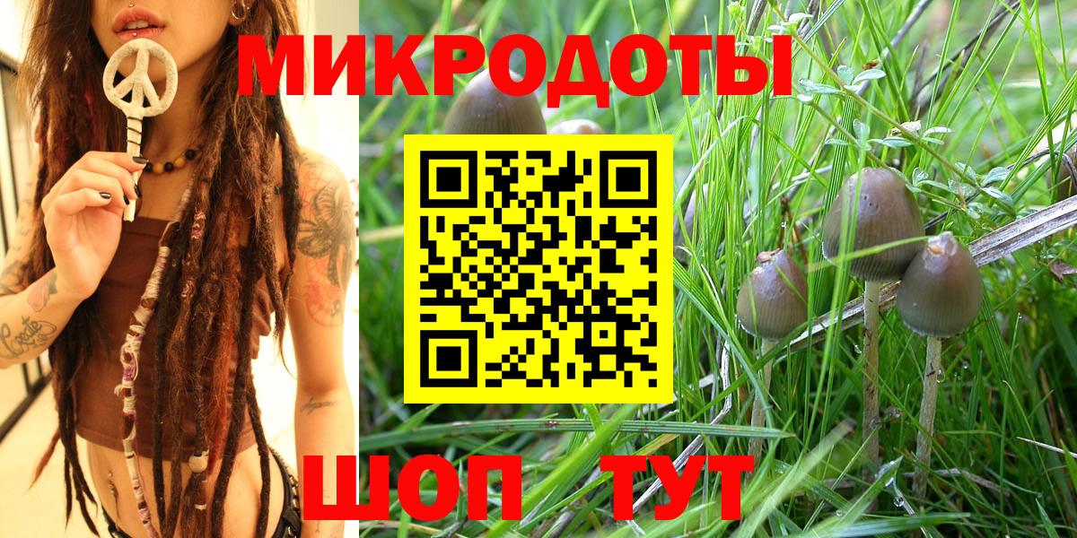 Заречный  Псилоцибиновые грибы мицелий  Вход с VPN 